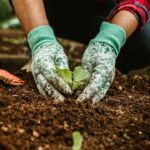 Dallas Fall Plant Sale Returns To Texas Discovery Gardens September 19–20