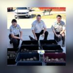 Denton FedEx Alert Leads To Rescue Of 191 Turtles And Tortoises