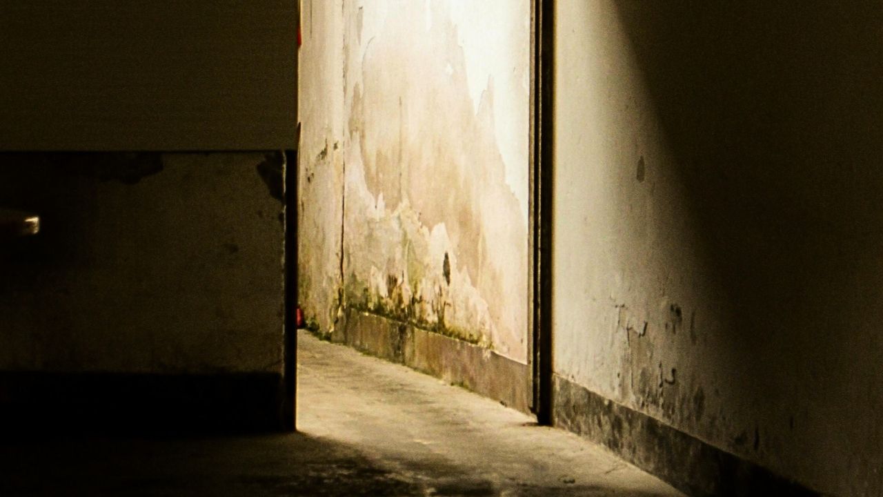 15 Charged In $2 Billion Health Care Fraud Sweep; Two Texans Accused In Sham Rehab Scheme