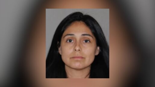 Affidavit Details Alleged Northlake Stabbing Of Husband, Two Young Children