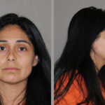 North Texas Mom Accused Of Stabbing Baby, Toddler And Husband