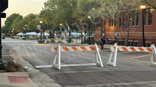 Hindu Festival Barricades Spark Questions About Voter Turnout In Southlake And Round Rock